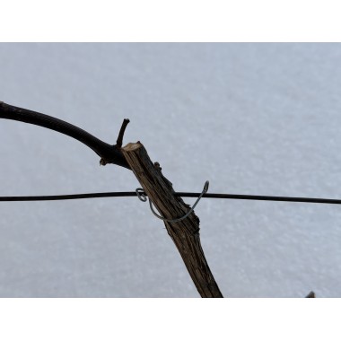 KABUKAI Vynuogynui, sodui, tvorai 20vnt