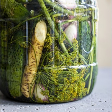 3ltr. Plastikinis indas rauginimui