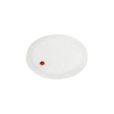 Fermentacinio indo dangtis